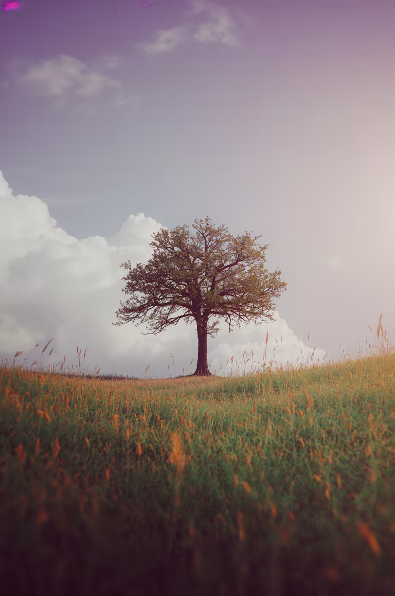 wallpaper_nature_00001.jpg