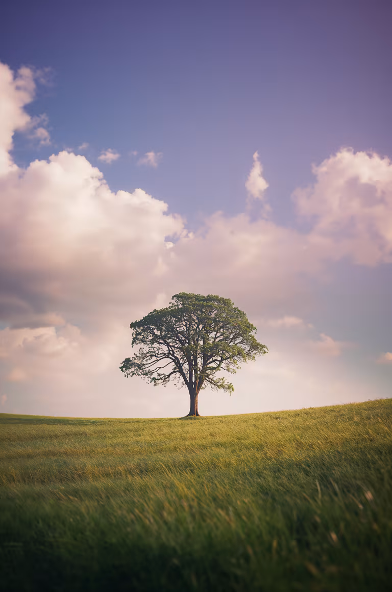 wallpaper_nature_00003.jpg