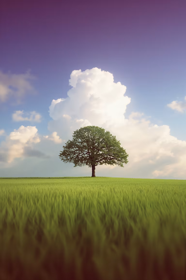 wallpaper_nature_00004.jpg