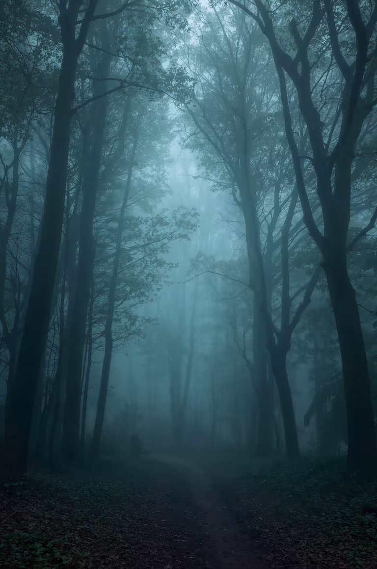wallpaper_nature_00005.jpg