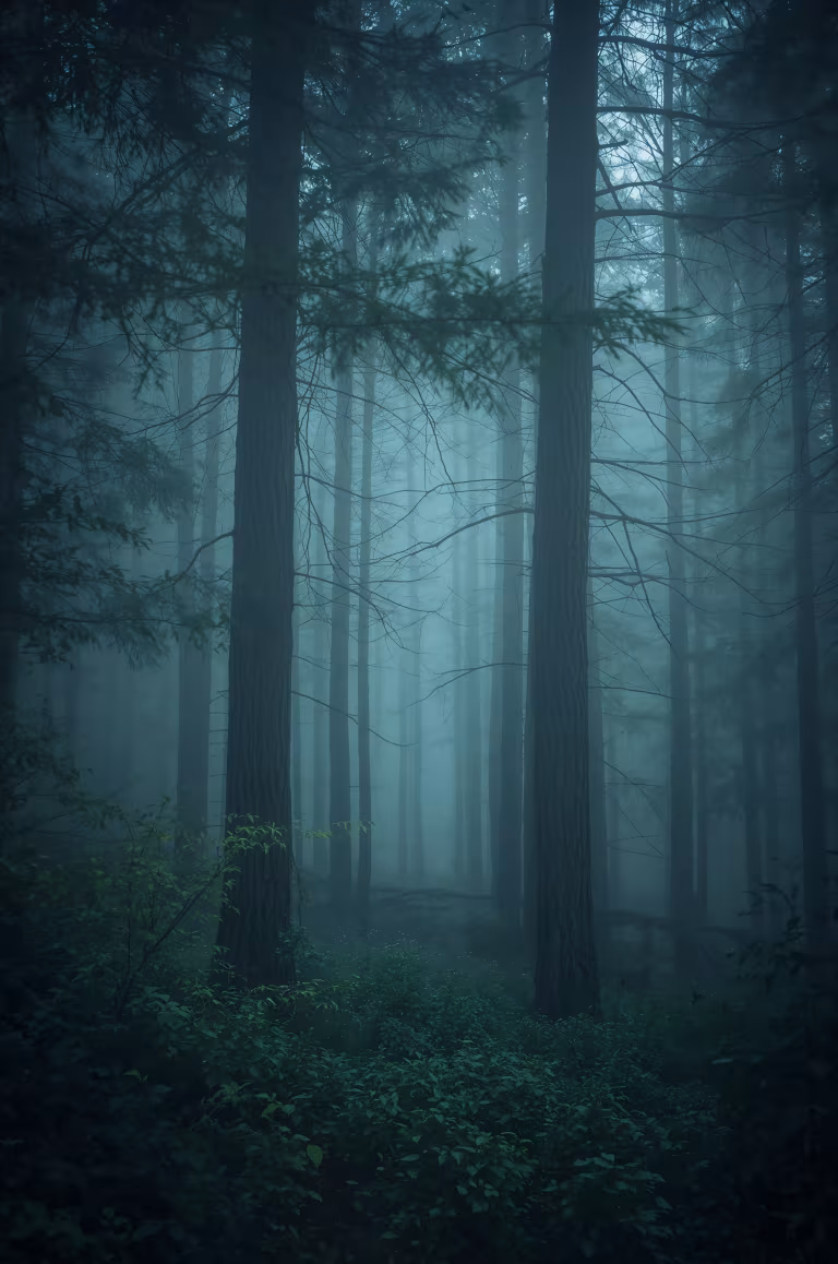 wallpaper_nature_00006.jpg