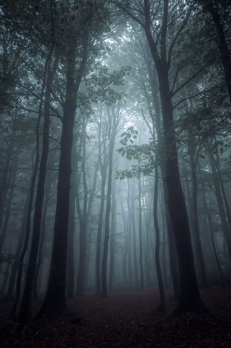 wallpaper_nature_00007.jpg