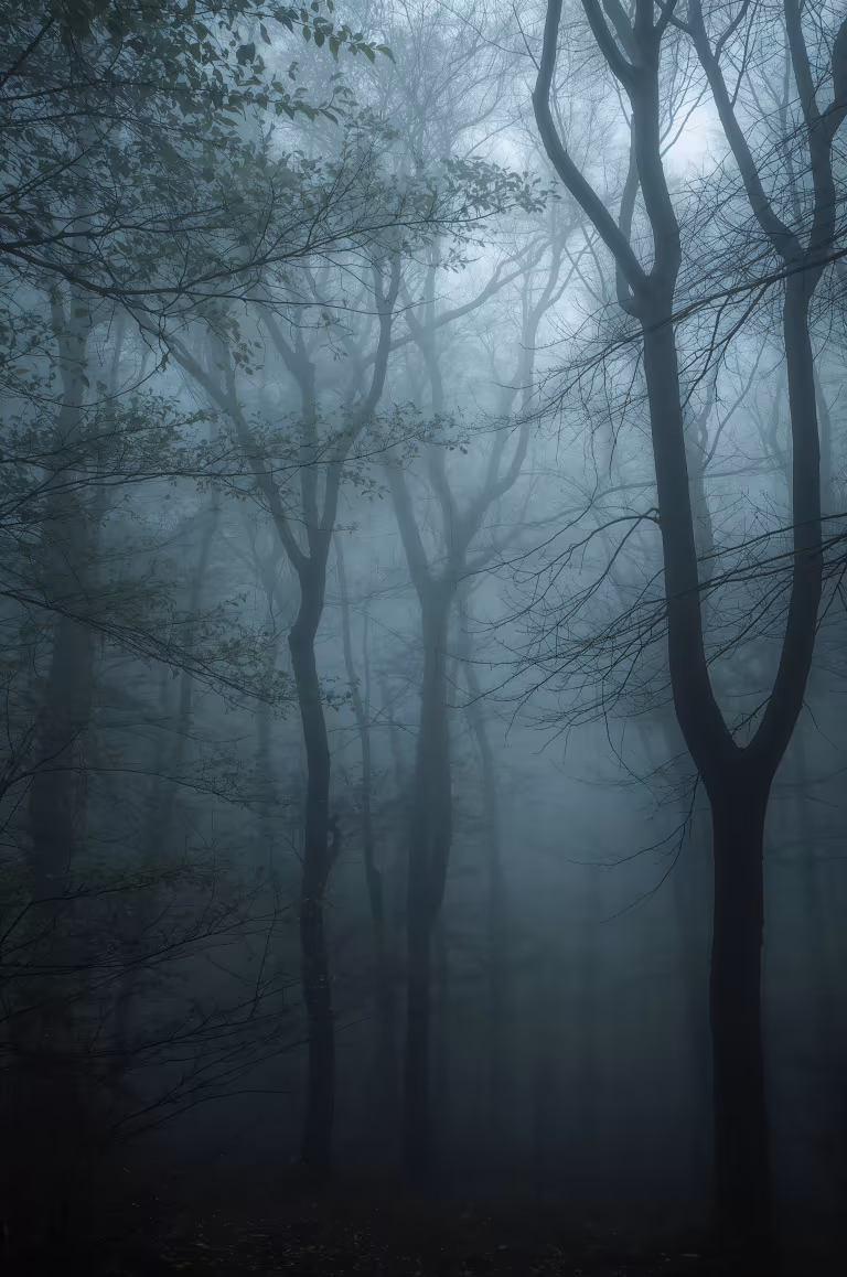 wallpaper_nature_00008.jpg
