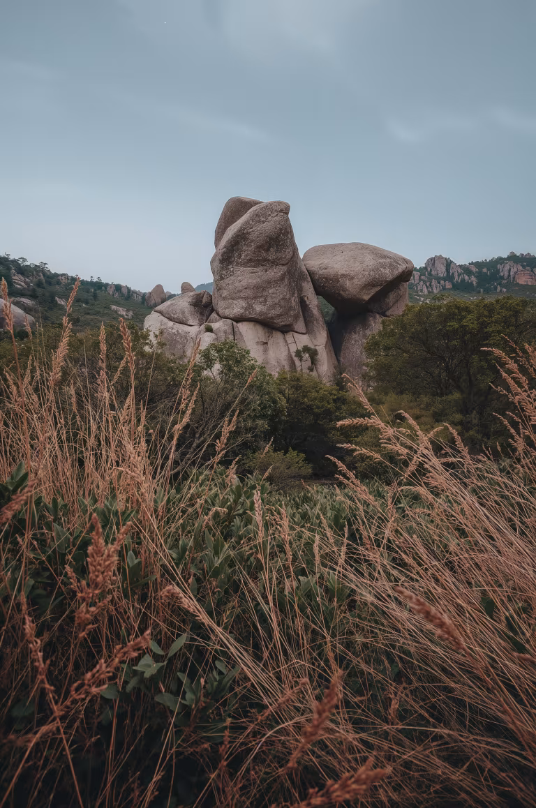 wallpaper_nature_00009.jpg