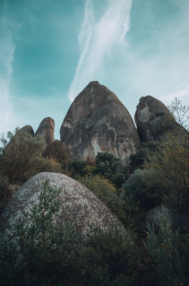 wallpaper_nature_00010.jpg