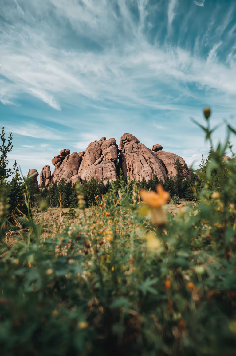 wallpaper_nature_00011.jpg