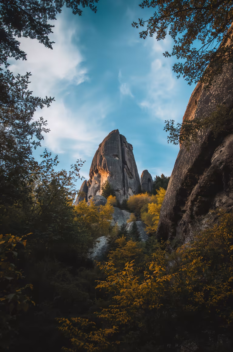 wallpaper_nature_00012.jpg