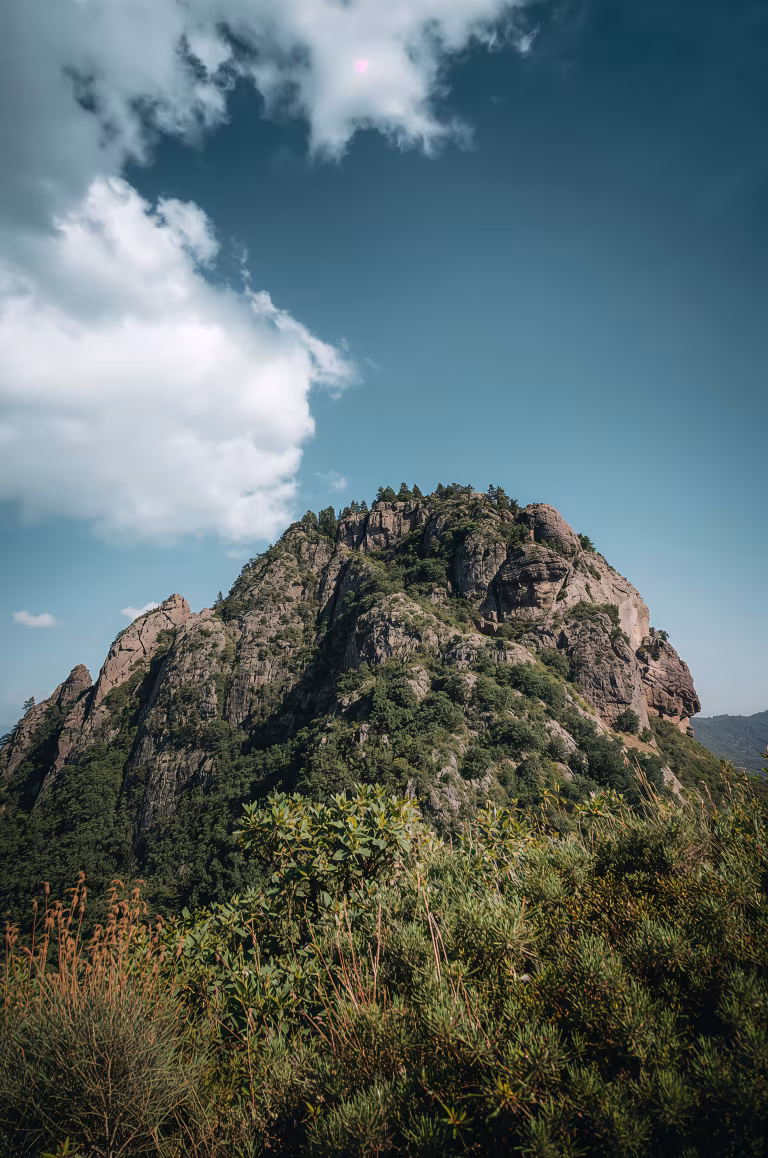 wallpaper_nature_00013.jpg