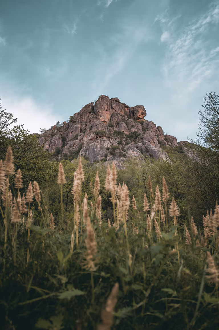 wallpaper_nature_00014.jpg