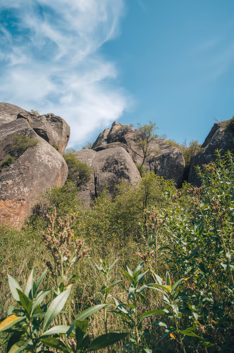 wallpaper_nature_00015.jpg