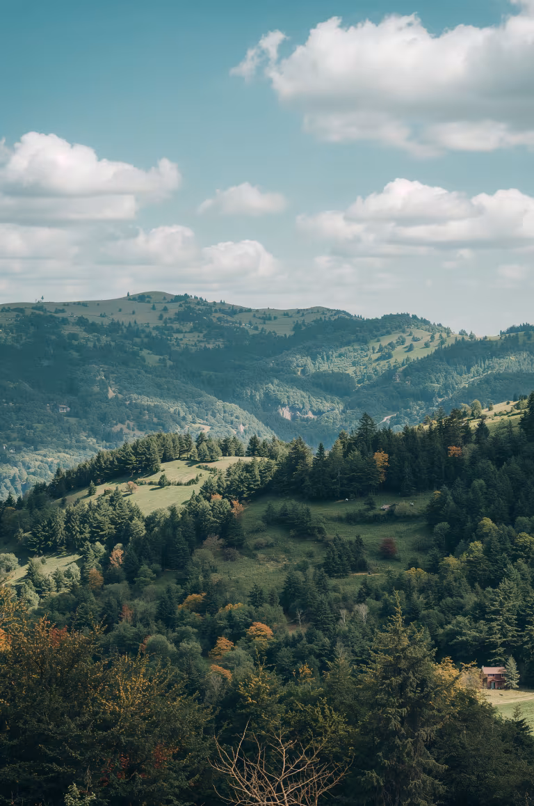 wallpaper_nature_00016.jpg