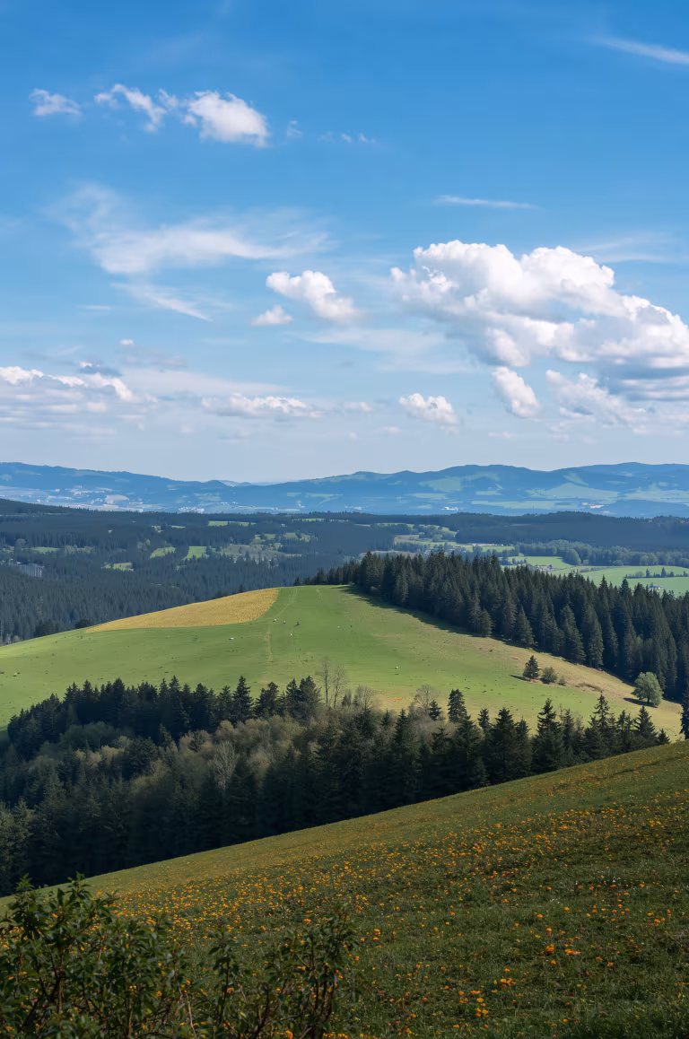 wallpaper_nature_00017.jpg