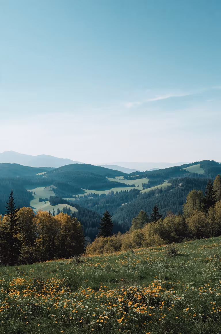 wallpaper_nature_00019.jpg